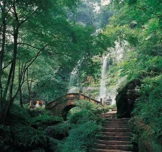 临江镇春节前安全生产暨森林草原防灭火工作会议召开
